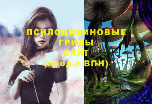 тгк Армянск