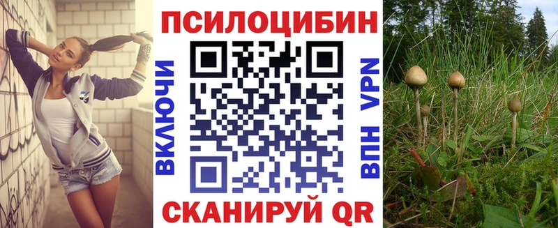 блэк спрут как войти  Горно-Алтайск  Галлюциногенные грибы мицелий 